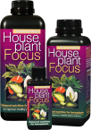 House Plant Focus 100 ml